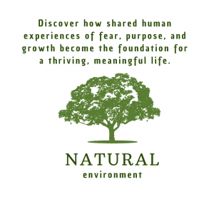 Read more about the article The Universal Journey: How Our Shared Human Experiences Become Our Greatest Strengths