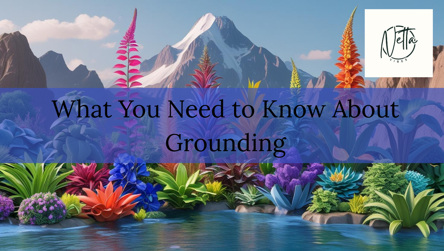 You are currently viewing What You Need to Know About Grounding By Netta Reads