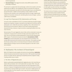 How to Develop Superhuman Learning Using Neuroplasticity Acceleration